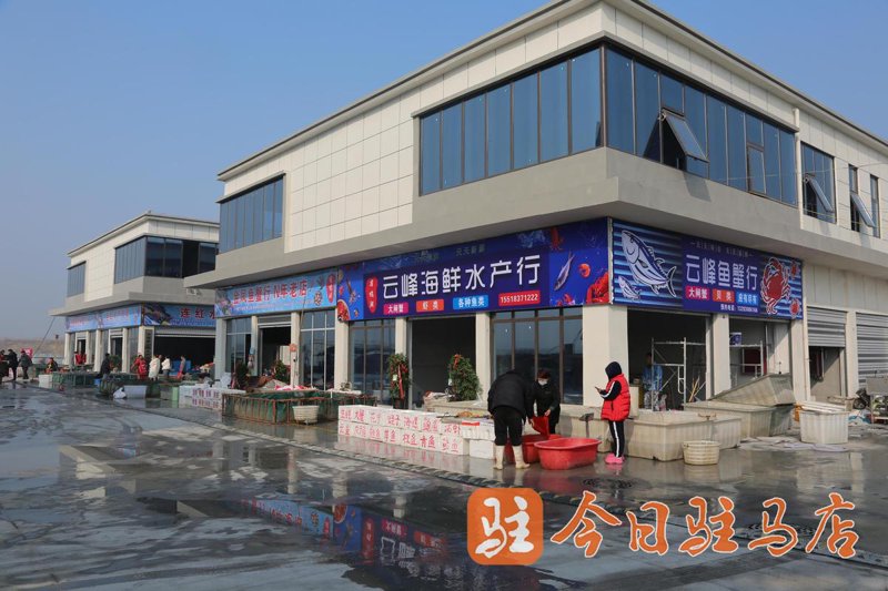 水产品经营部：构建健康产业链的桥梁