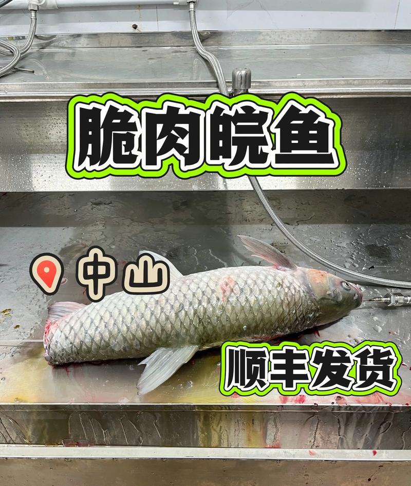水产品经营部：市场新风向与发展趋势