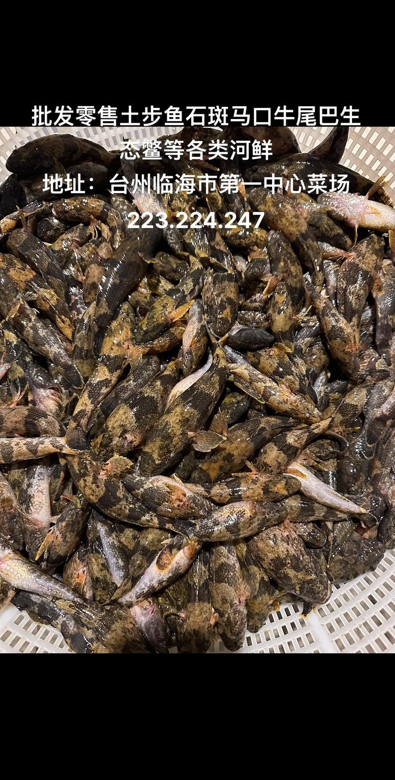 河鲜批发