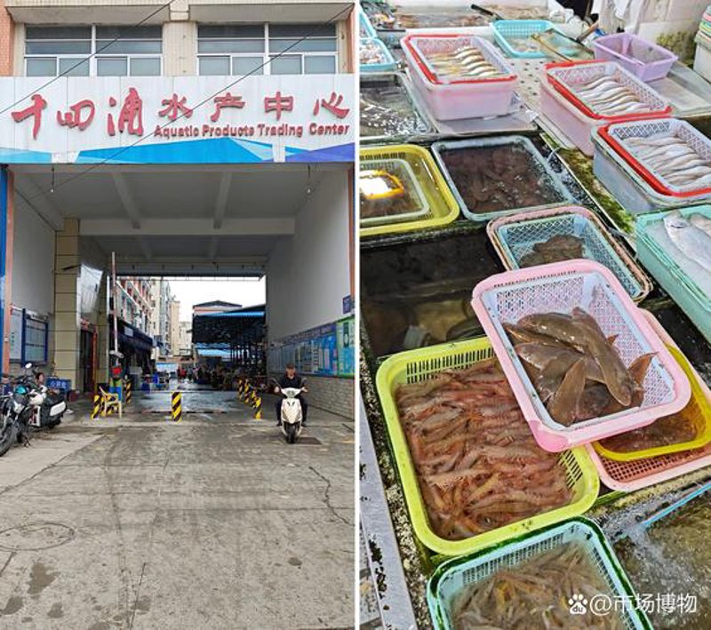 水产行业的创新发展：以高建新水产为例