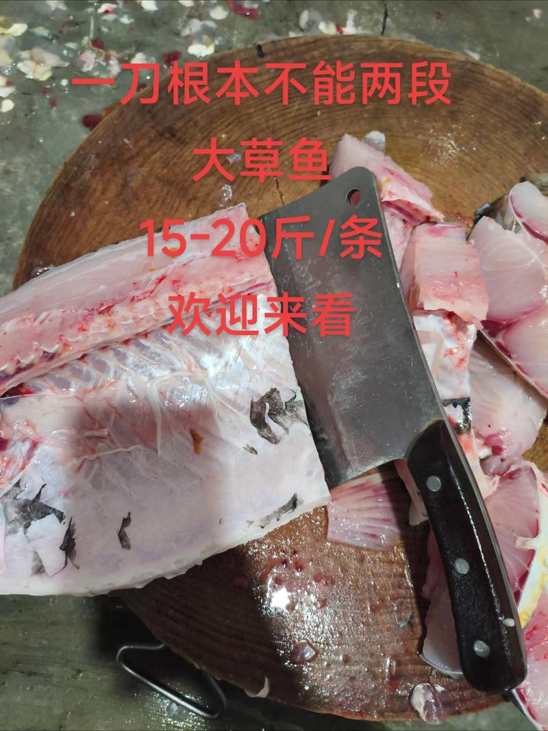 探寻上海杨浦区的海鲜美食新风尚